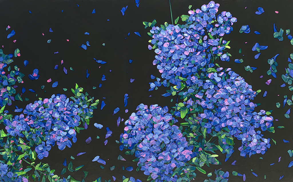 Floral Interpretation - Plumbago